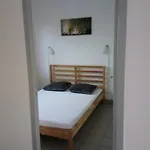 Confortable Avec Terrasse Et Acces Handicape - Api-1-52-592