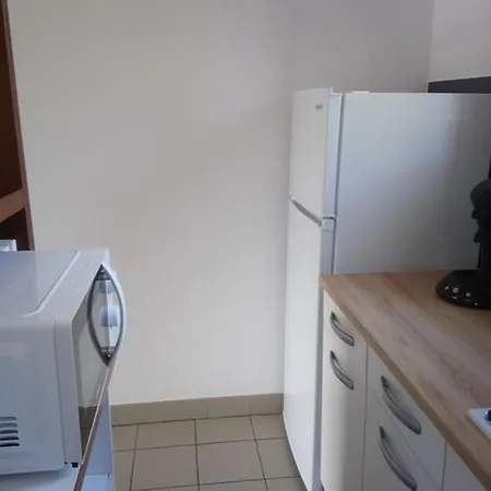 Confortable Avec Terrasse Et Acces Handicape - Api-1-52-592